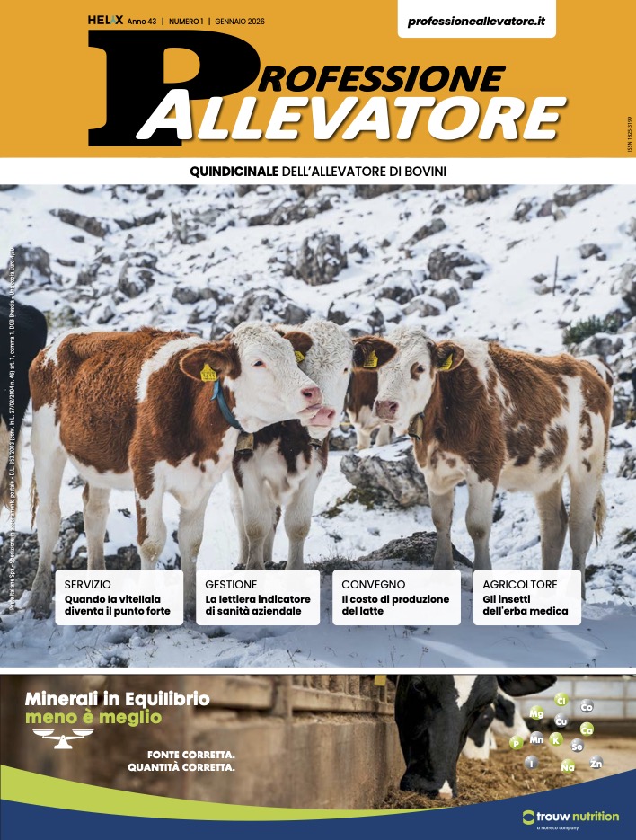 copertina_pa_01-26.jpg