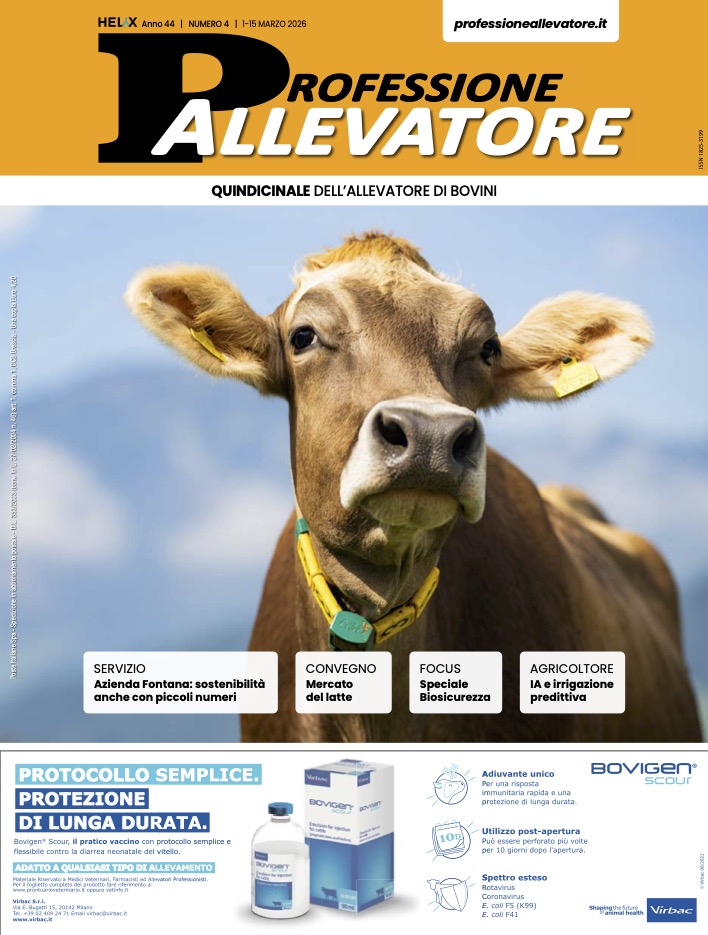 copertina_pa_4-26.jpg
